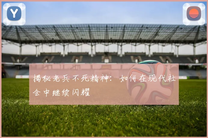揭秘老兵不死精神：如何在现代社会中继续闪耀